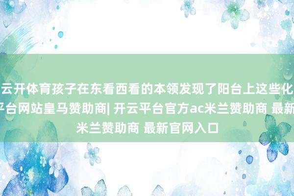 云开体育孩子在东看西看的本领发现了阳台上这些化石-开云平台网站皇马赞助商| 开云平台官方ac米兰赞助商 最新官网入口