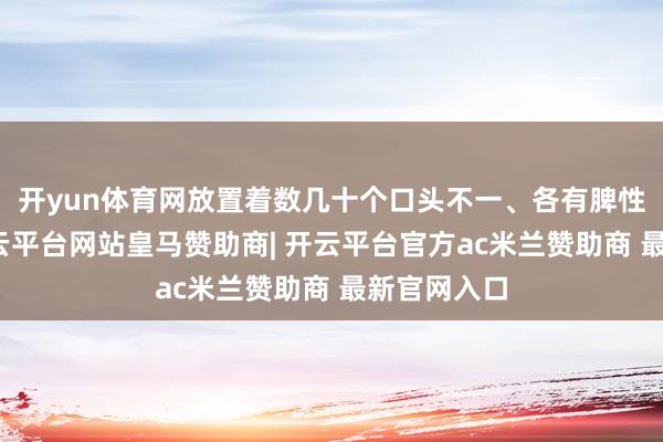 开yun体育网放置着数几十个口头不一、各有脾性的花瓶-开云平台网站皇马赞助商| 开云平台官方ac米兰赞助商 最新官网入口